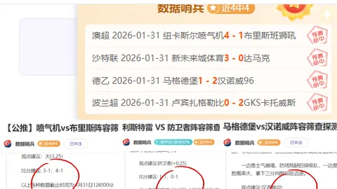 “英超收官战：埃弗顿与莱斯特城濒临降级边缘！”